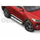 Пороги алюминиевые Rival Silver для Haval F7/F7x 2019-2021